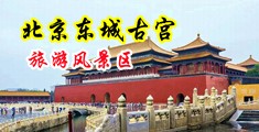 免费性爱在线视频网站中国北京-东城古宫旅游风景区